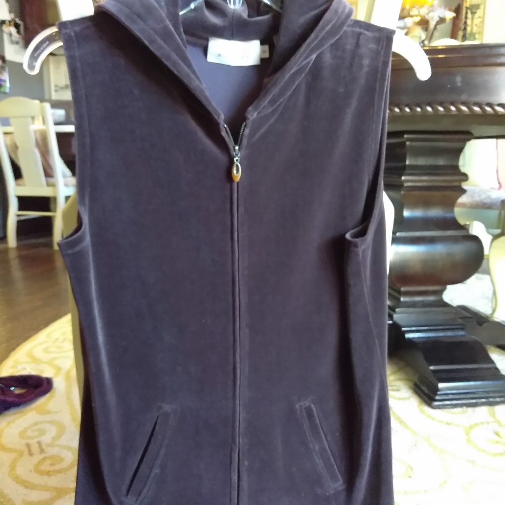 Dana Bucman velvet Hoodie